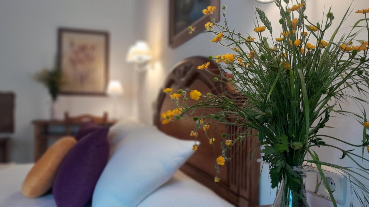 Apartamentos El Haya โคสกายา ภายนอก รูปภาพ